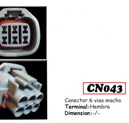 CN43